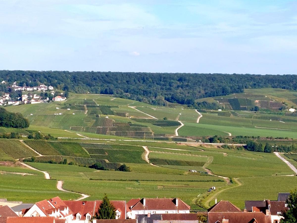 Apartmán Epernay Capital De Champagne Exteriér fotografie